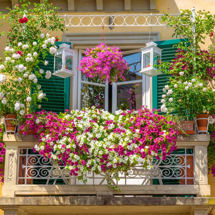 balkon bloemen plantenrek muur buiten