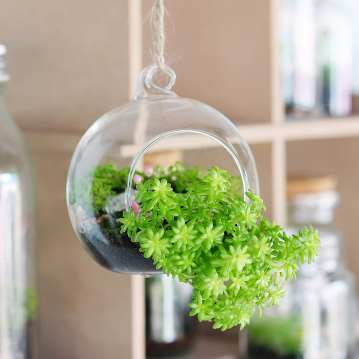hangend terrarium plantenrek muur buiten